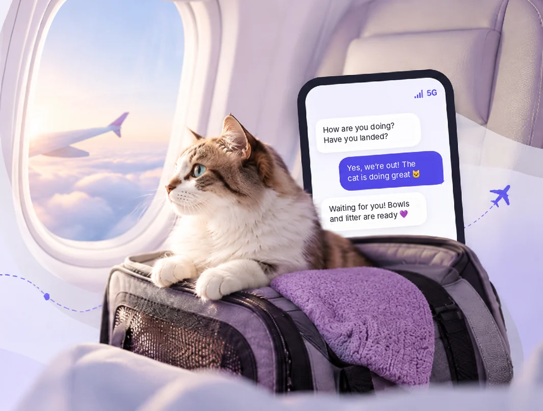 A cat in a carrier by an airplane window, next to a phone chat: landed, the cat is doing great, bowls and litter are ready